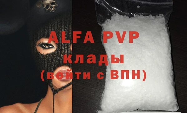 стафф Алексин