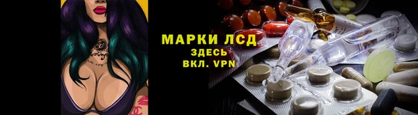 индика Алексеевка