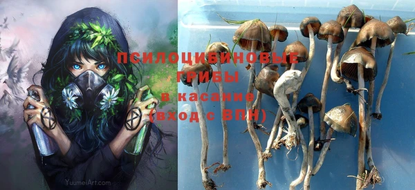 индика Алексеевка