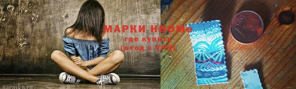 индика Алексеевка
