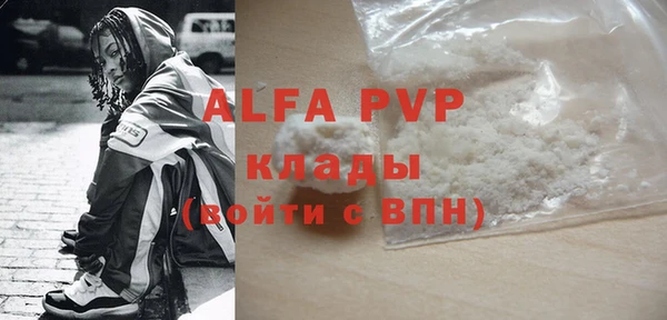 стафф Алексин