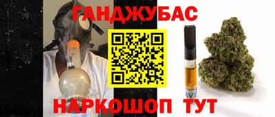 гидра Беслан