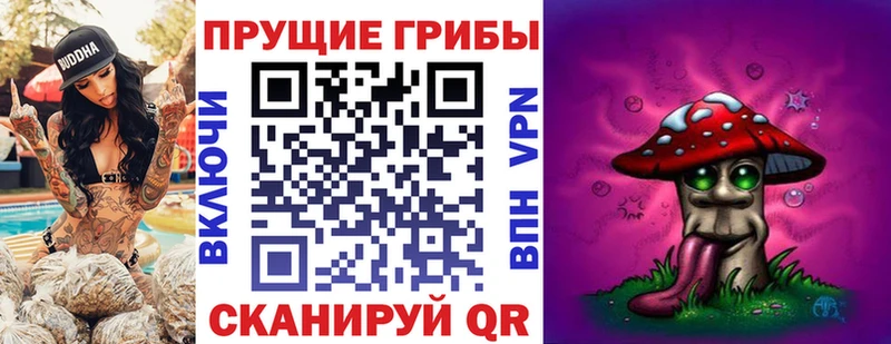 Псилоцибиновые грибы прущие грибы  МЕГА   Йошкар-Ола  дарнет шоп 